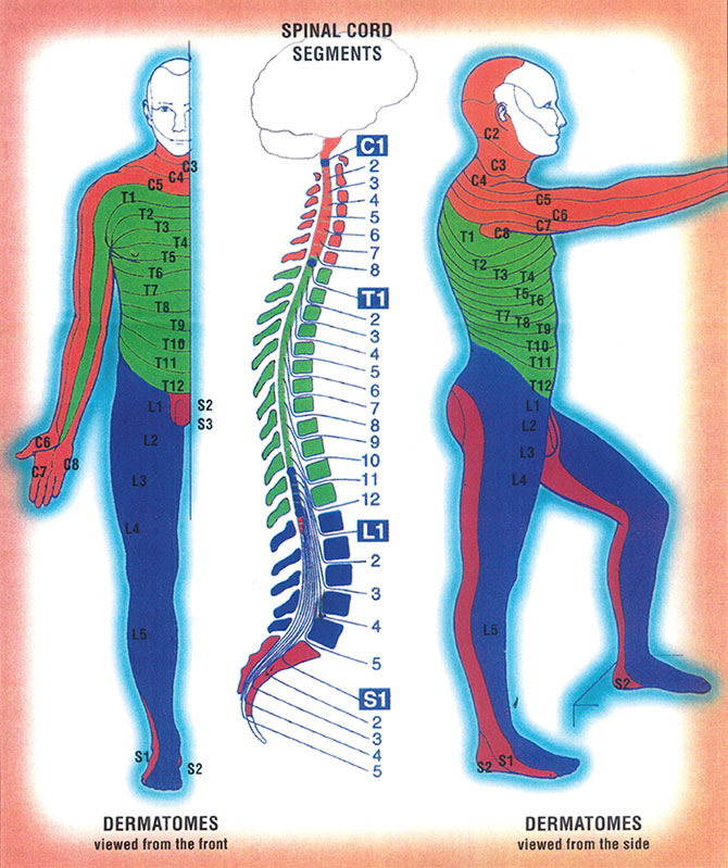 Leg, Ankle, Foot Pain graphic